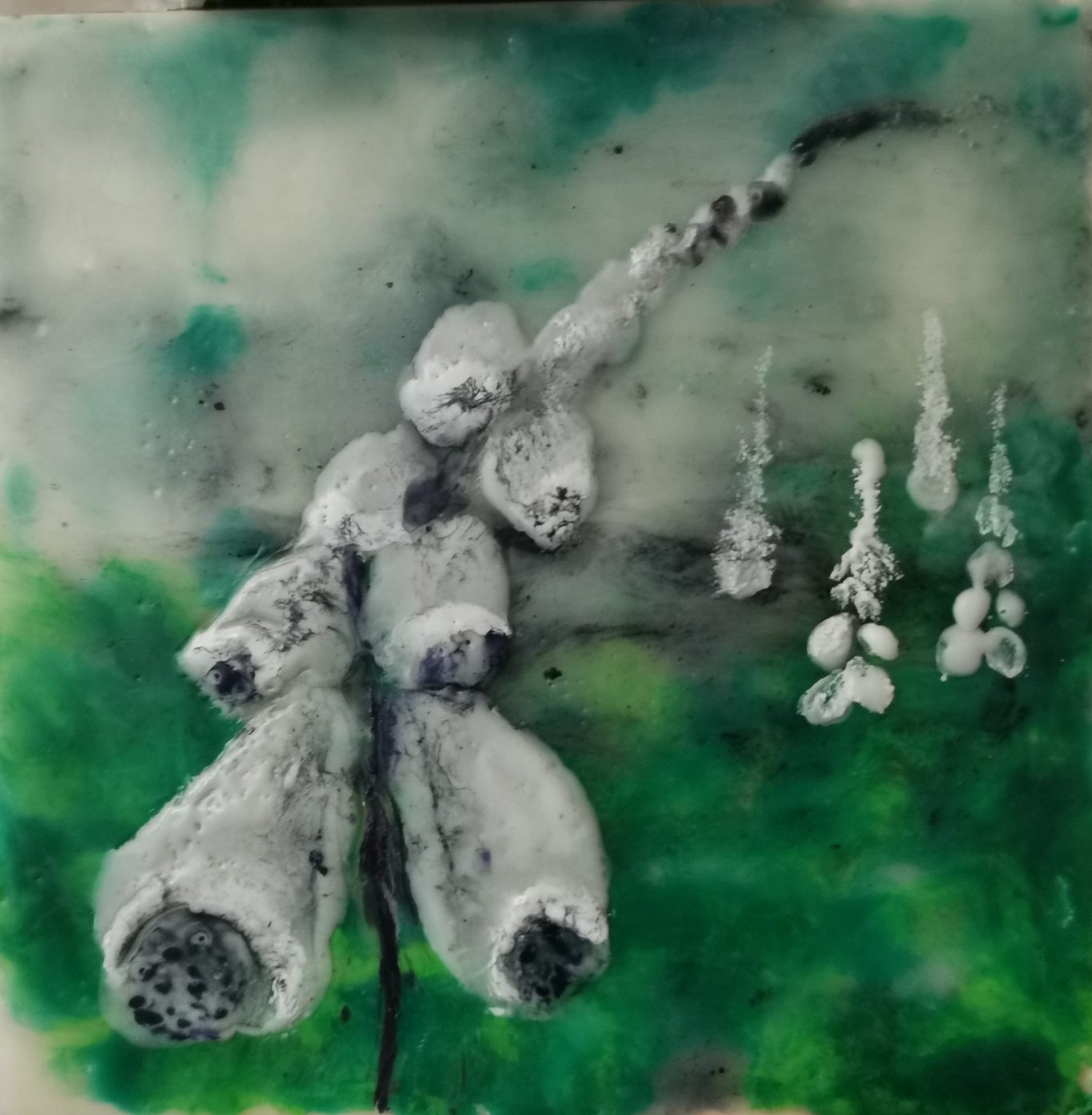 Foxgloves 3 (15 x 15cm) 15 x 15 cm encaustic study of foxgloves