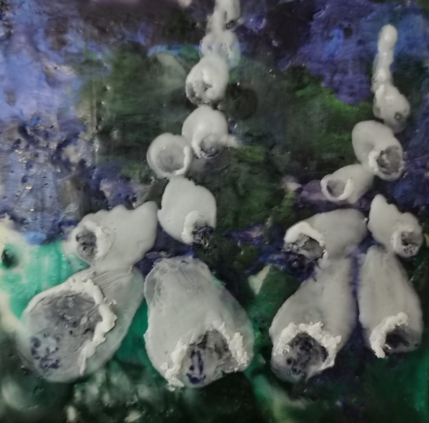 Foxgloves 2 (15 x 15cm) 15 x 15cm study of foxgloves